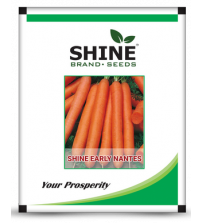 Carrot Shine Early Nantes 50 grams